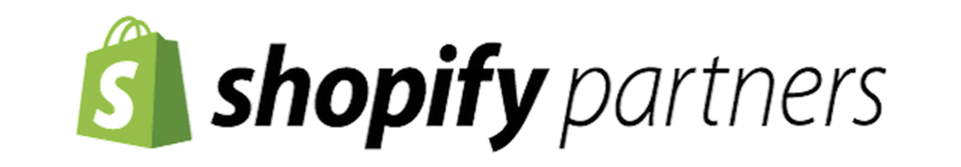 Shopify Partner